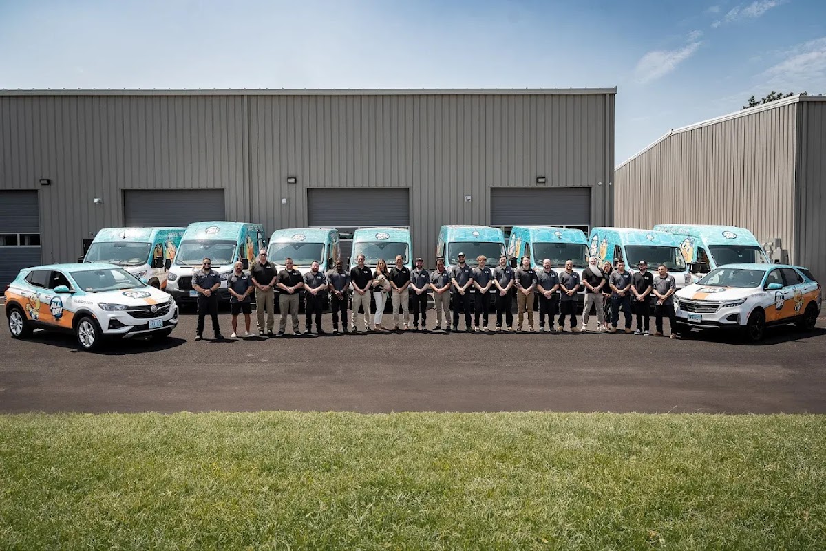 All Dry Services of Connecticut