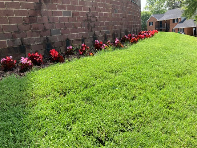 Greenville Irrigation Services