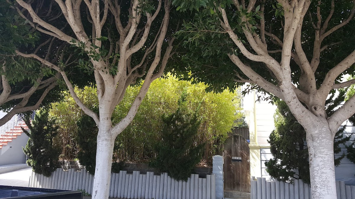 Jorge Meraz-Baca Upholstery