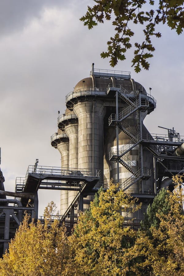 ANG Chimney Sweep And Gas fireplace of brooklyn