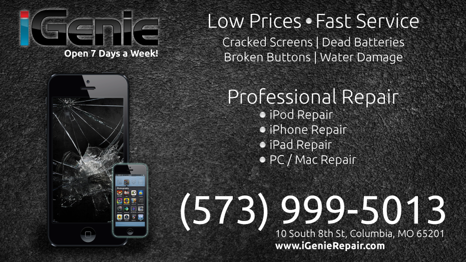 iGenie Repair