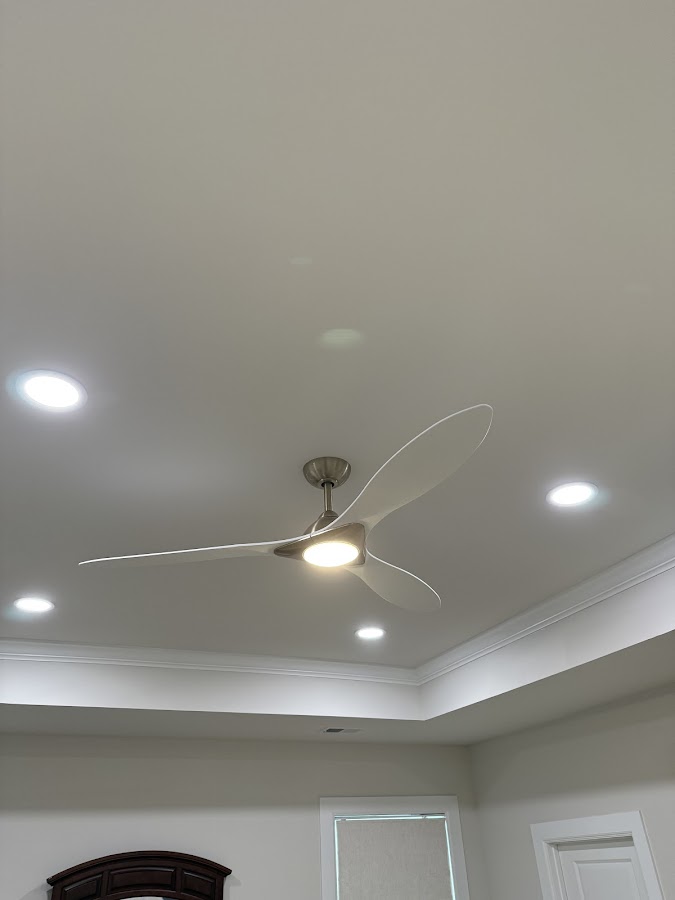 My Painter and Electrician