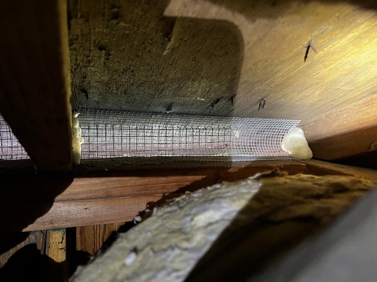 Shield insulation & pest L&D LLC