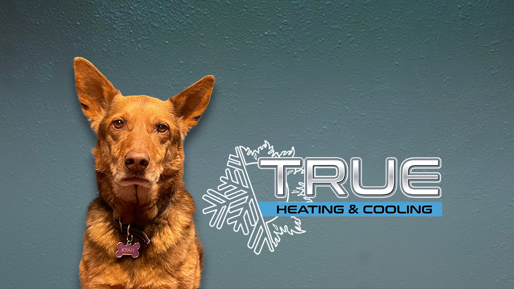 True Heating & Cooling