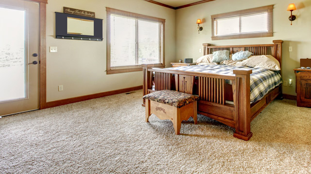 One of a Kind Custom Carpet Cleaning