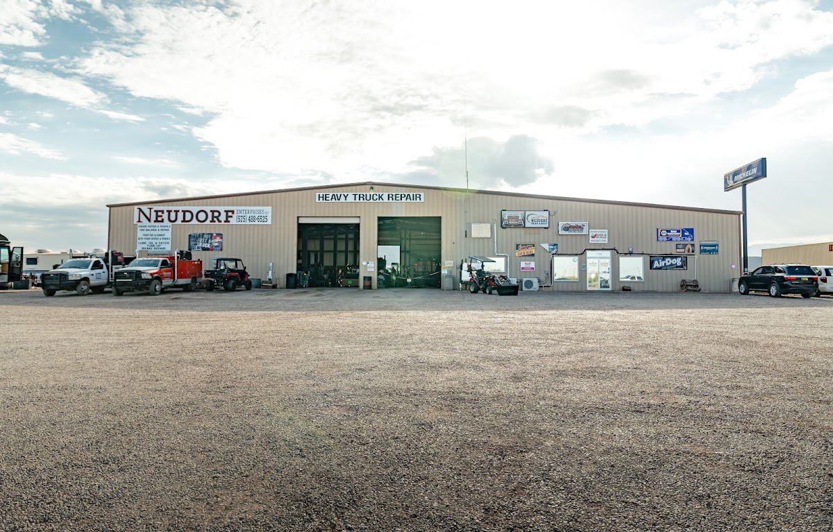 Neudorf Enterprises LLC