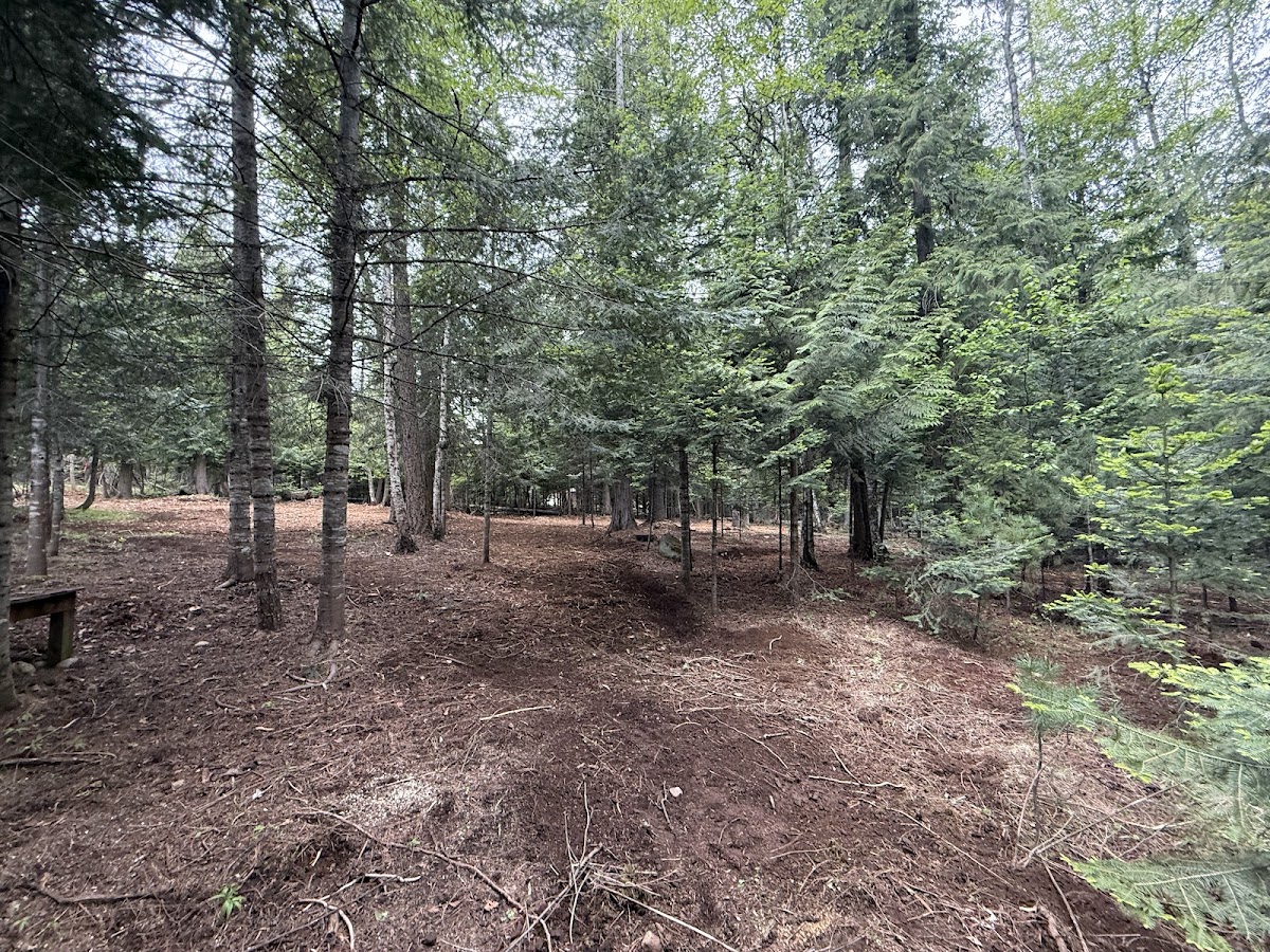 Backwoods Forestry & Excavation