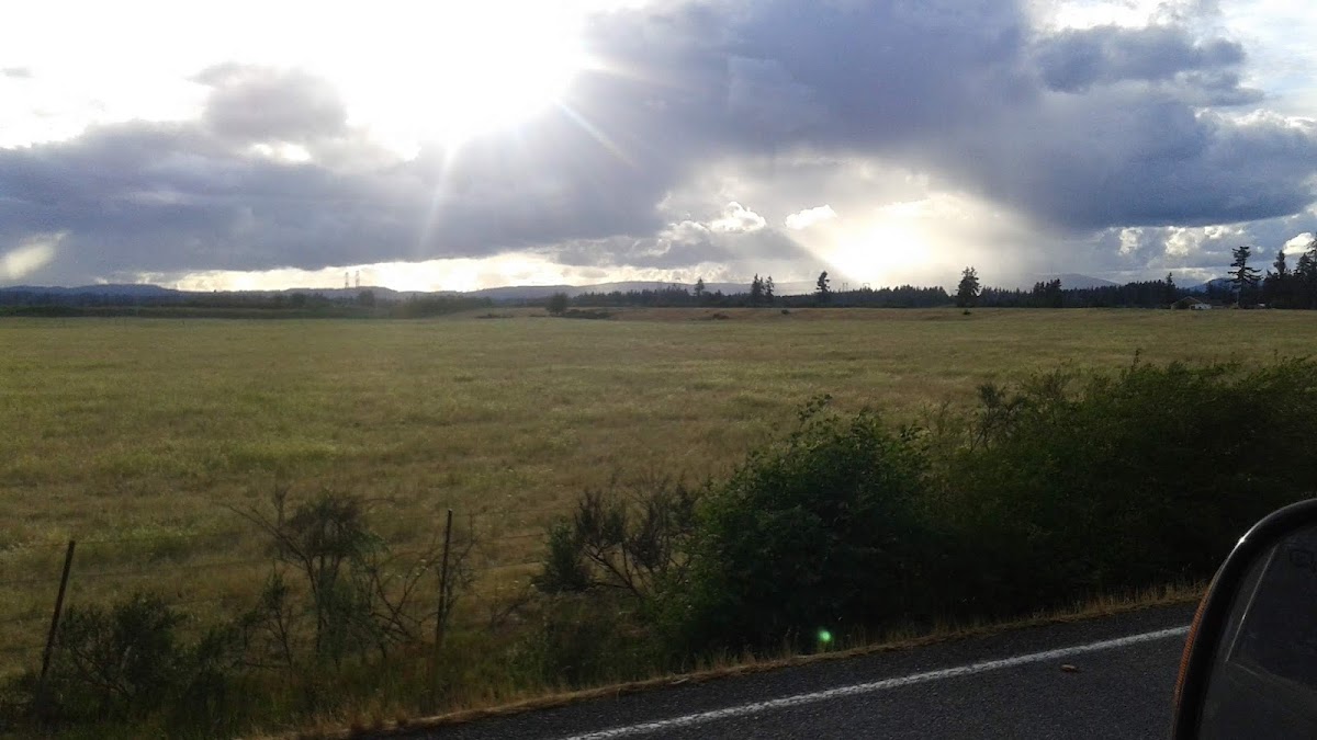 Five Star Mechanical