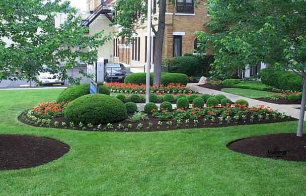 Tennessee Green Landscape and Tree Service