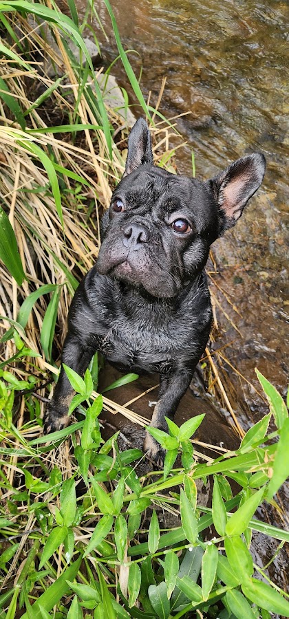 Malama Appliance Repair