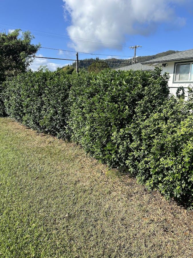 Kaapana Landscaping LLC