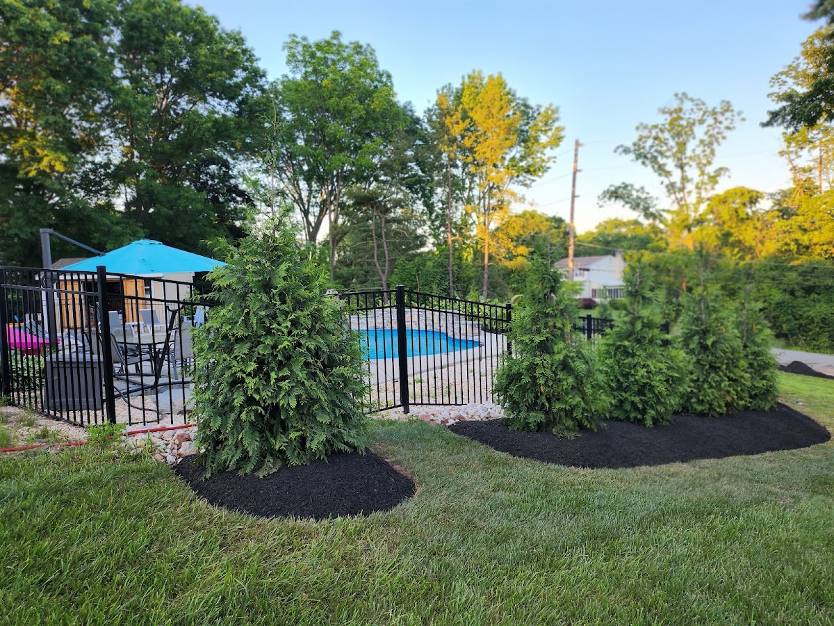 Three Amigos Landscaping & Lawn Services