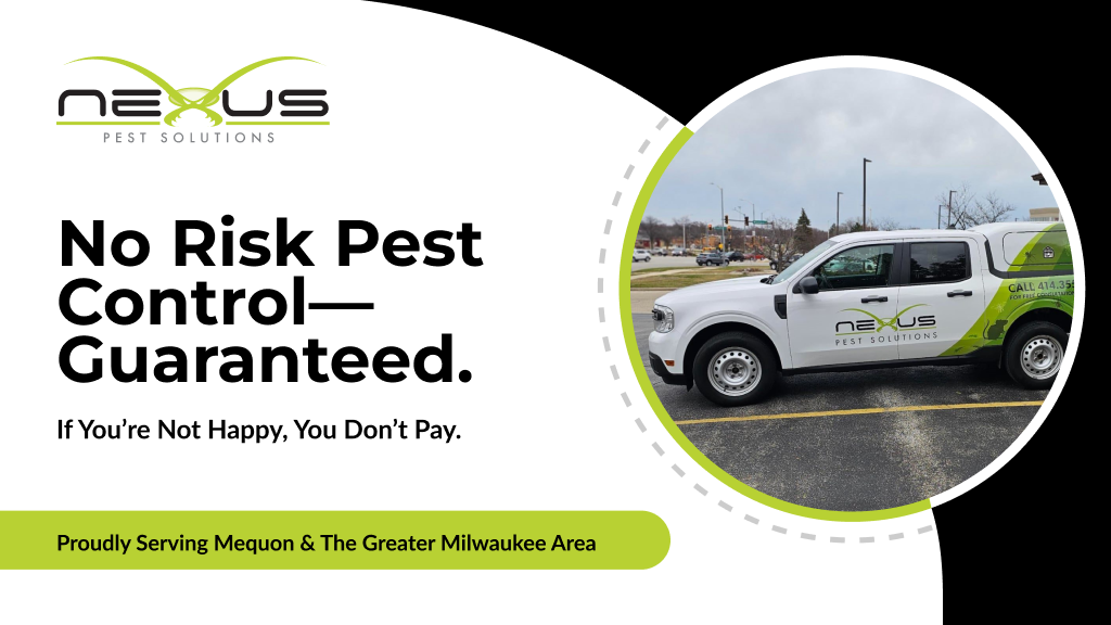 Nexus Pest Solutions