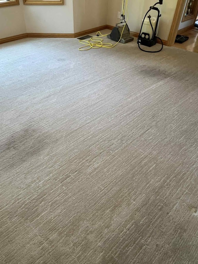 Crazy Clean Carpet Cleaning And Restoration