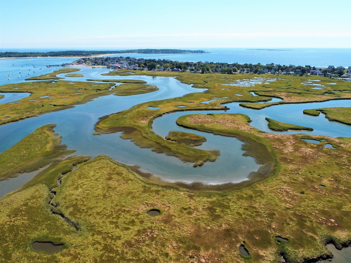 Active Intelligence Maine Drone & LiDAR Services