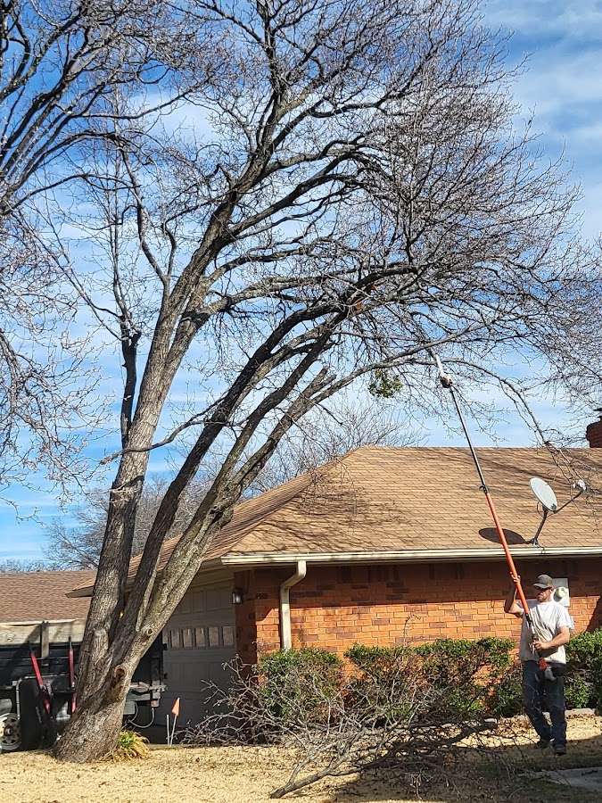 Cutback Tree Service