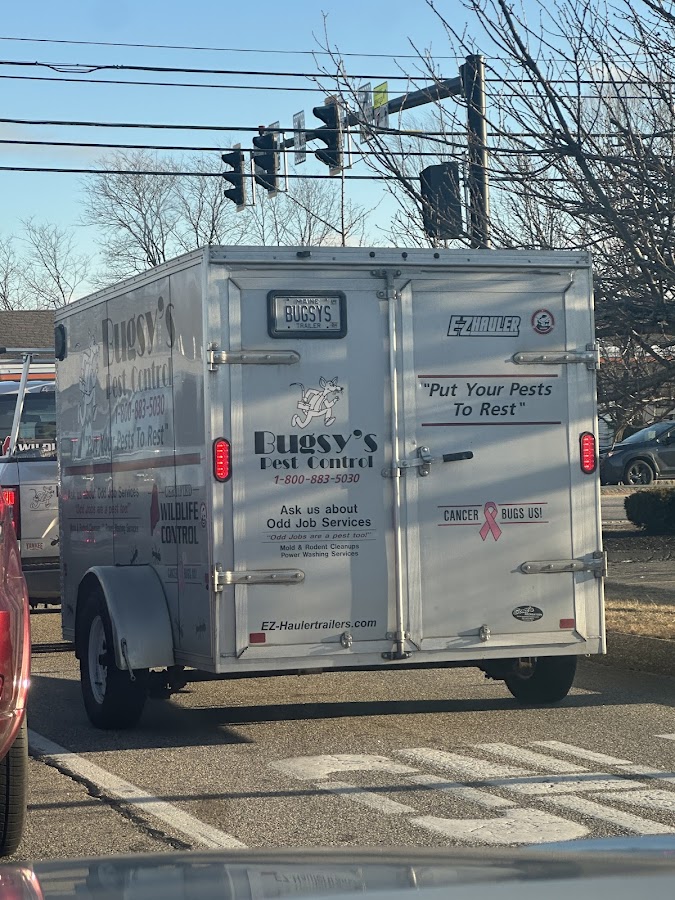 Bugsy's Pest Control