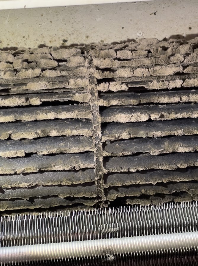 Any Temp Any Time, LLC