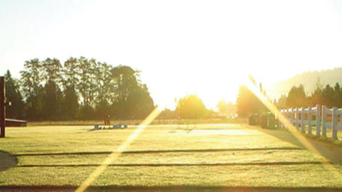 Alpine Landscape & Maintenance