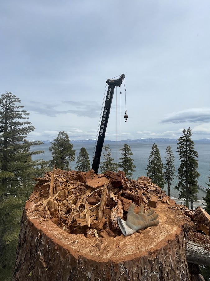 Tegrity Tree Care LLC