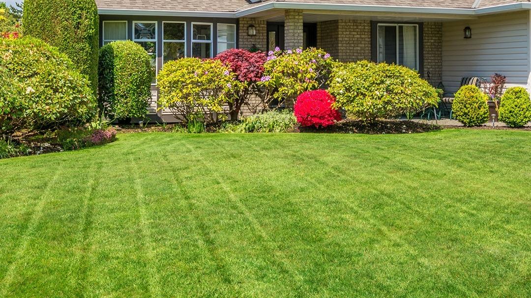Lawn Masters Lawn & Landscaping Inc