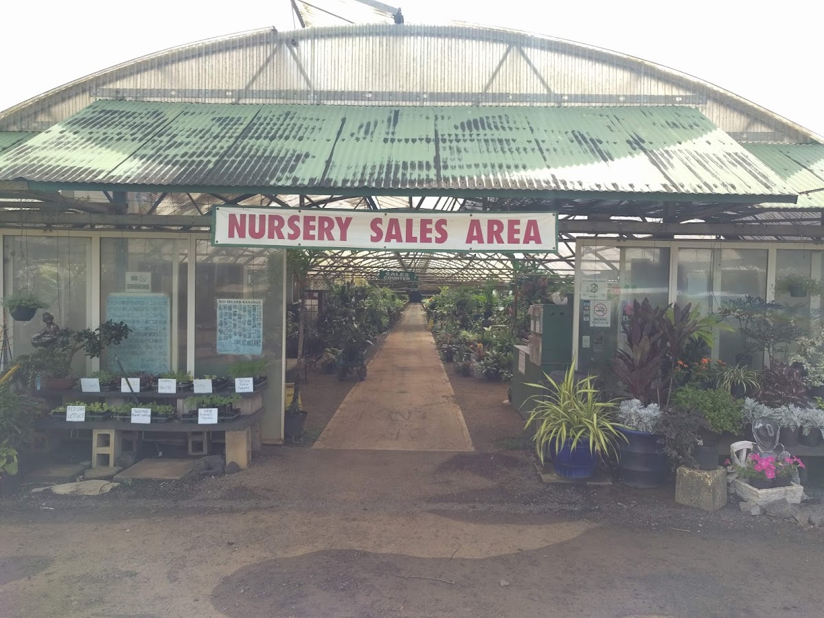 Kauaʻi Nursery & Landscaping Inc
