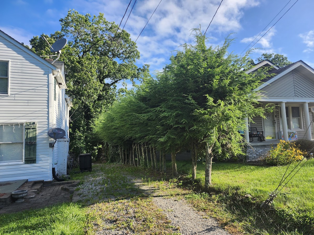 911 Property Solutions of WV, LLC