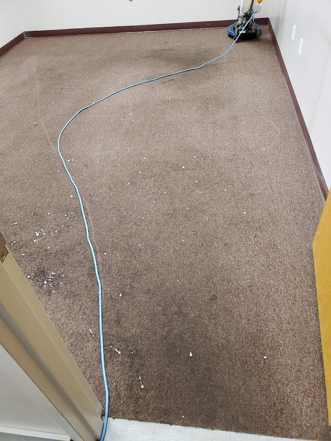 Earley's Carpet Cleaning