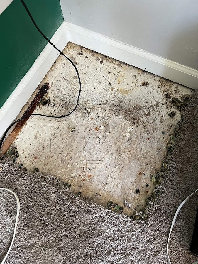 Indianapolis Carpet Repair