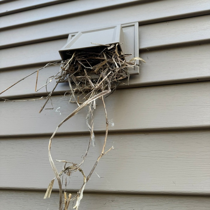 Dryer Vent Wizard of SE Saratoga and NE Schenectady