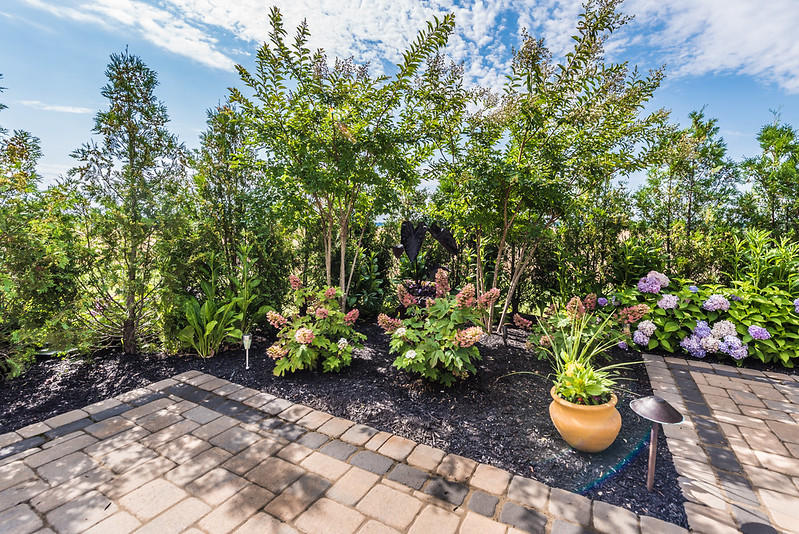 Bailey's Lawn and Landscape