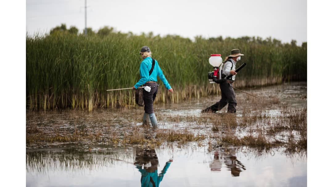 VDCI Mosquito Management
