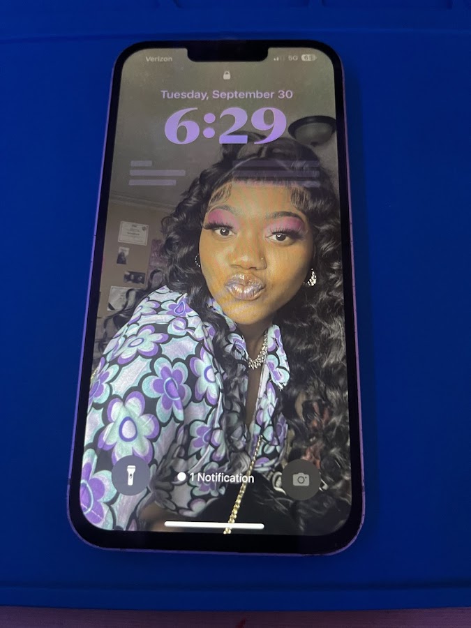 Tbees screens repairs