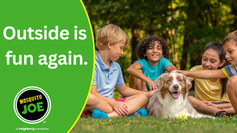 Mosquito Joe of Minot-Williston