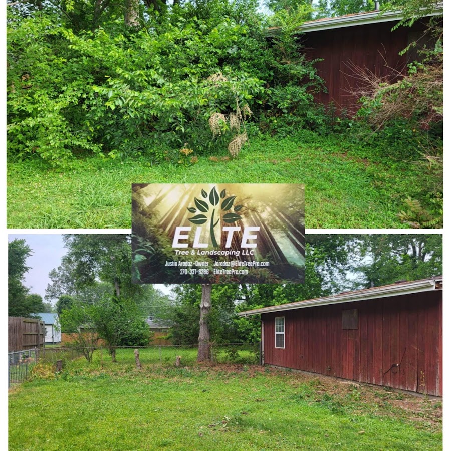 Elite Tree & Landscaping LLC