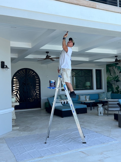 Renaissance Painting & Home Repair