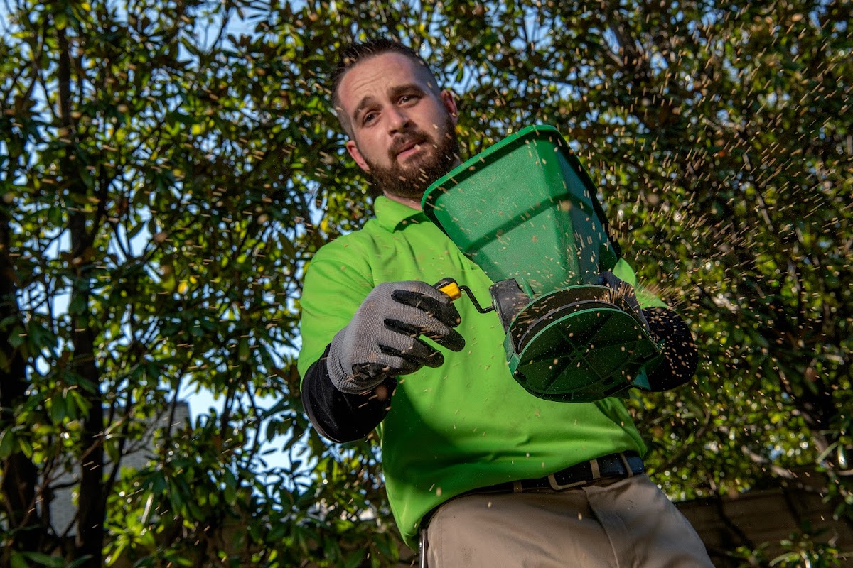 Green Army Healthy Home and Pest Solutions