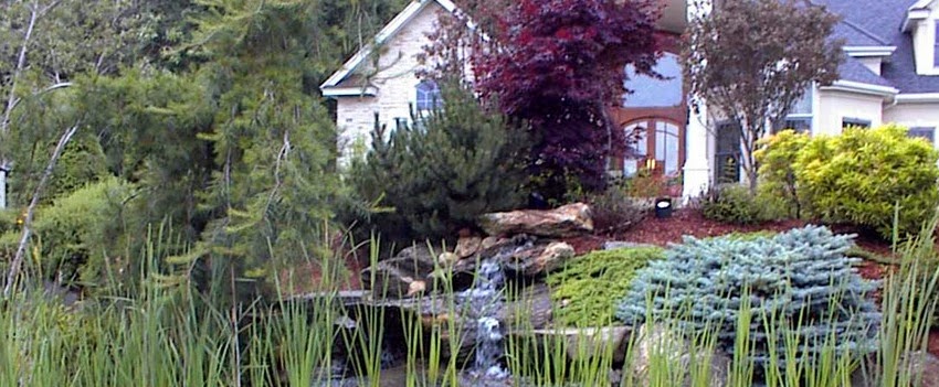 Rutland Nurseries, Inc.