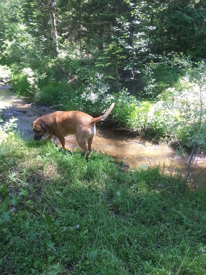 Energy Capital Plumbing & Construction Drain Cleaning in Gillette, WY photo