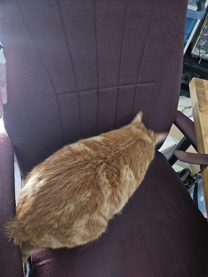 Professional Furniture Repair & Upholstery