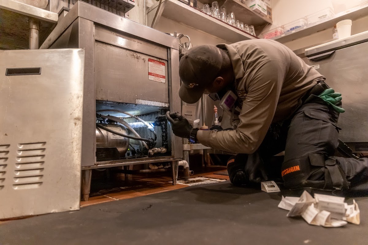 Lloyd Pest & Termite Control