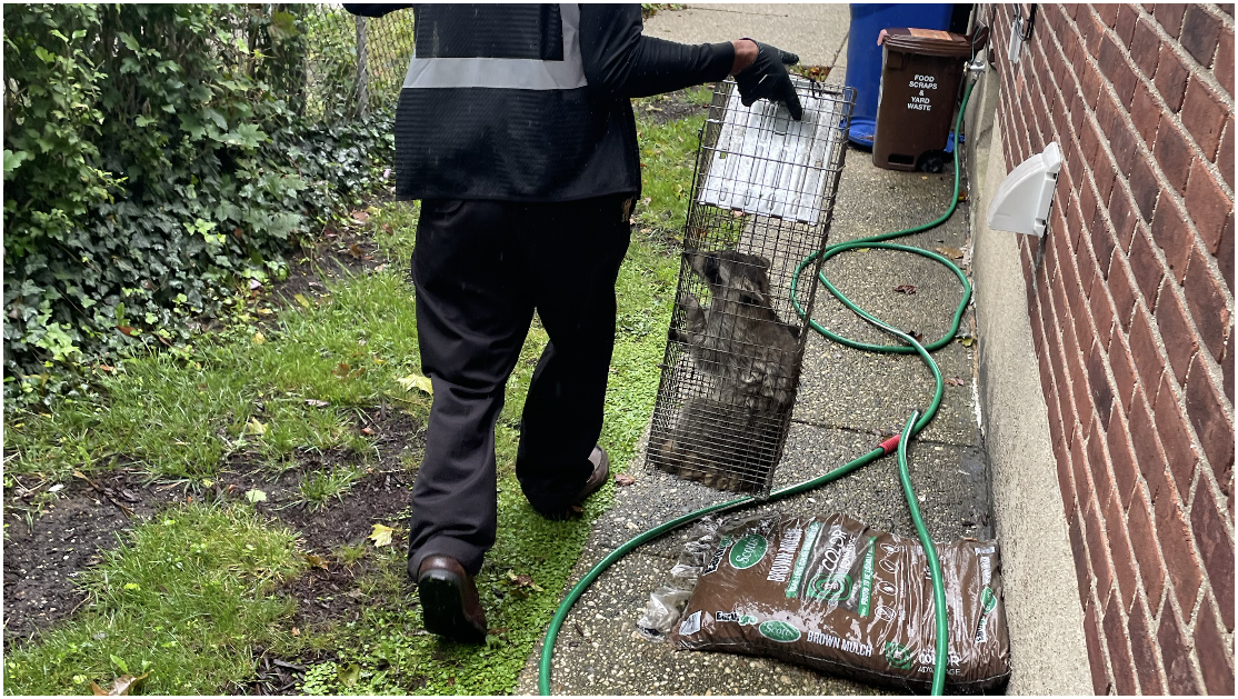 Magic Touch Exterminating and Wildlife Control