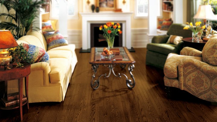 Family Carpet Outlet Inc