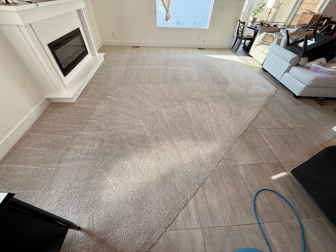 TruRinse® Carpet Cleaning