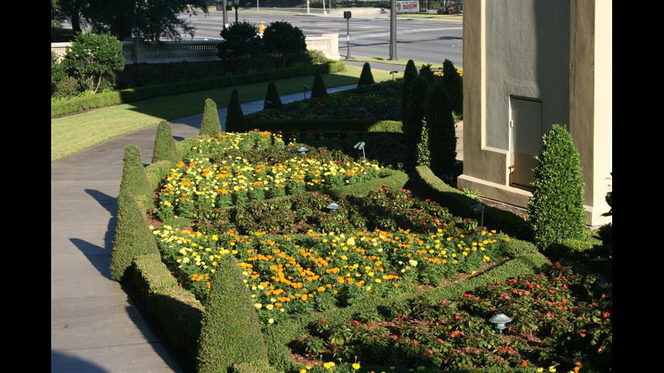 Turf Masters Lawn Care