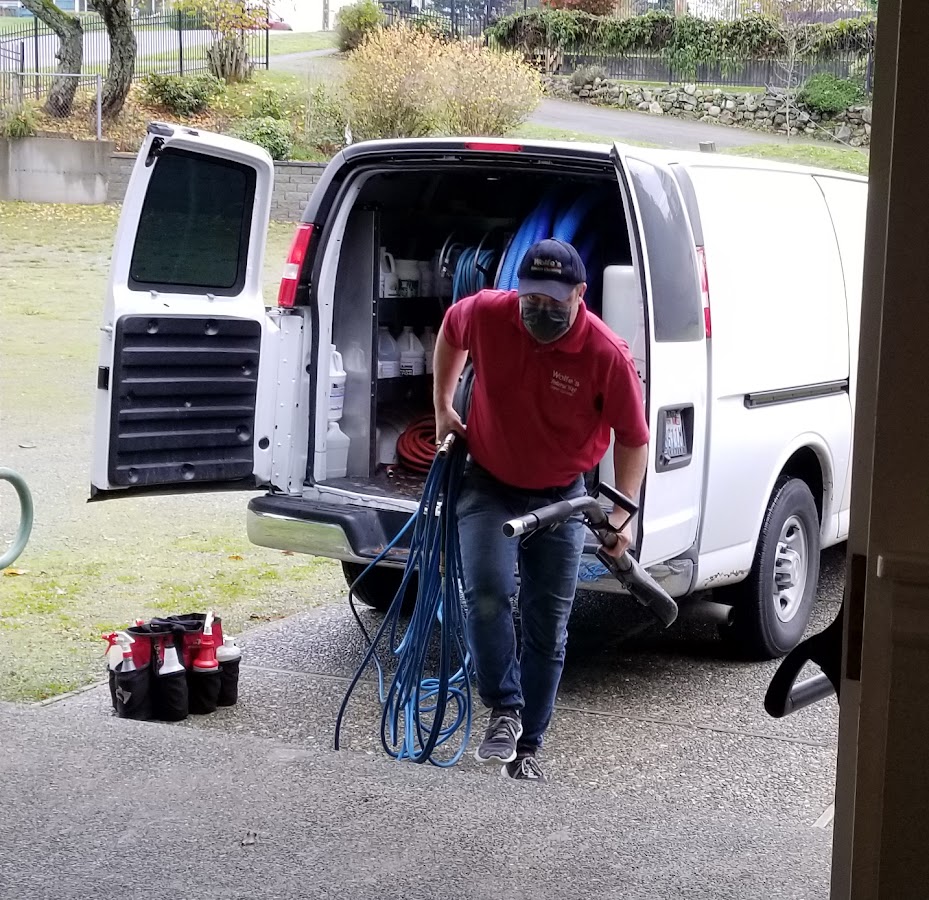 Wolfe's Carpet & Upholstery Cleaning