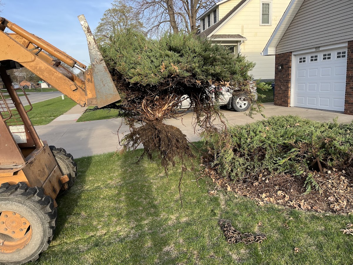 Aspen Outdoor Services