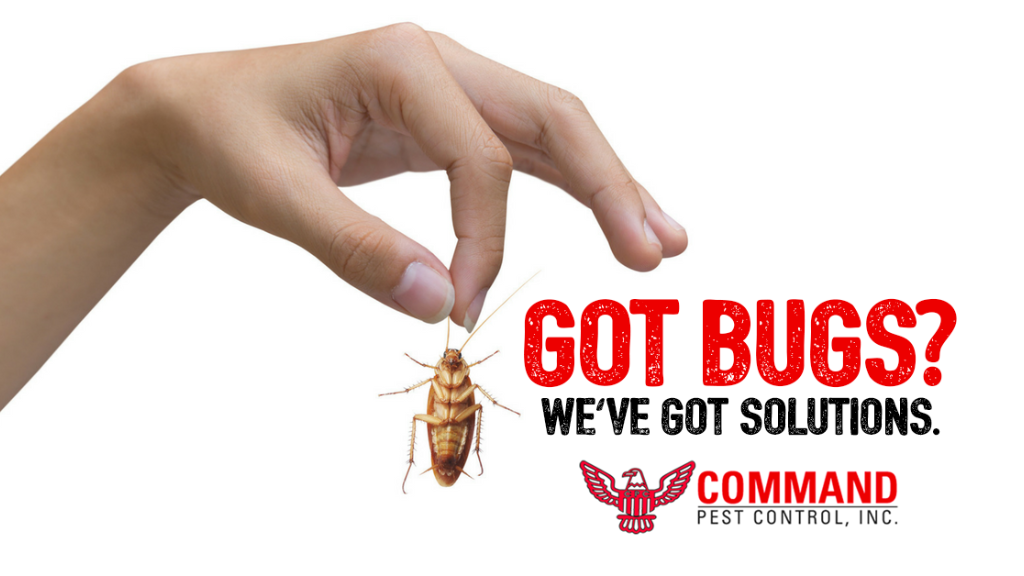 Command Pest Control