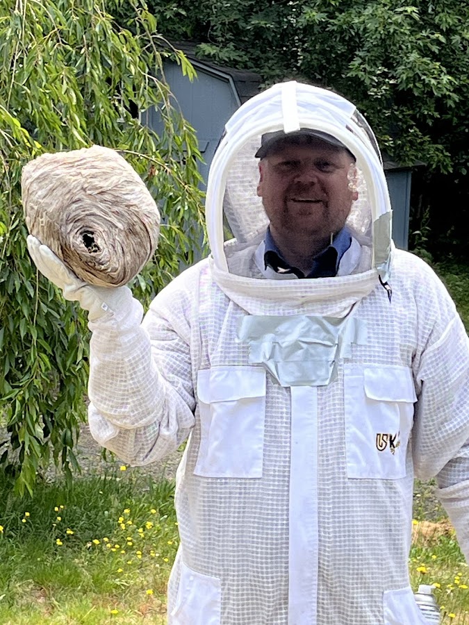 Insight Pest Control - Bremerton