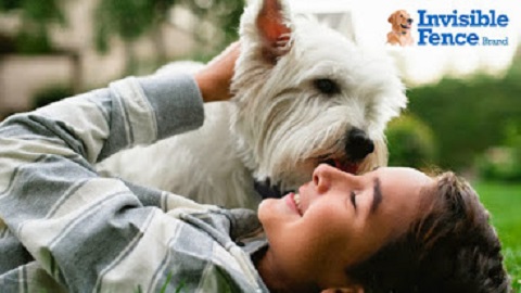 Invisible Fence Brand by Coyner Associates Fence Repair in Charlottesville, VA photo